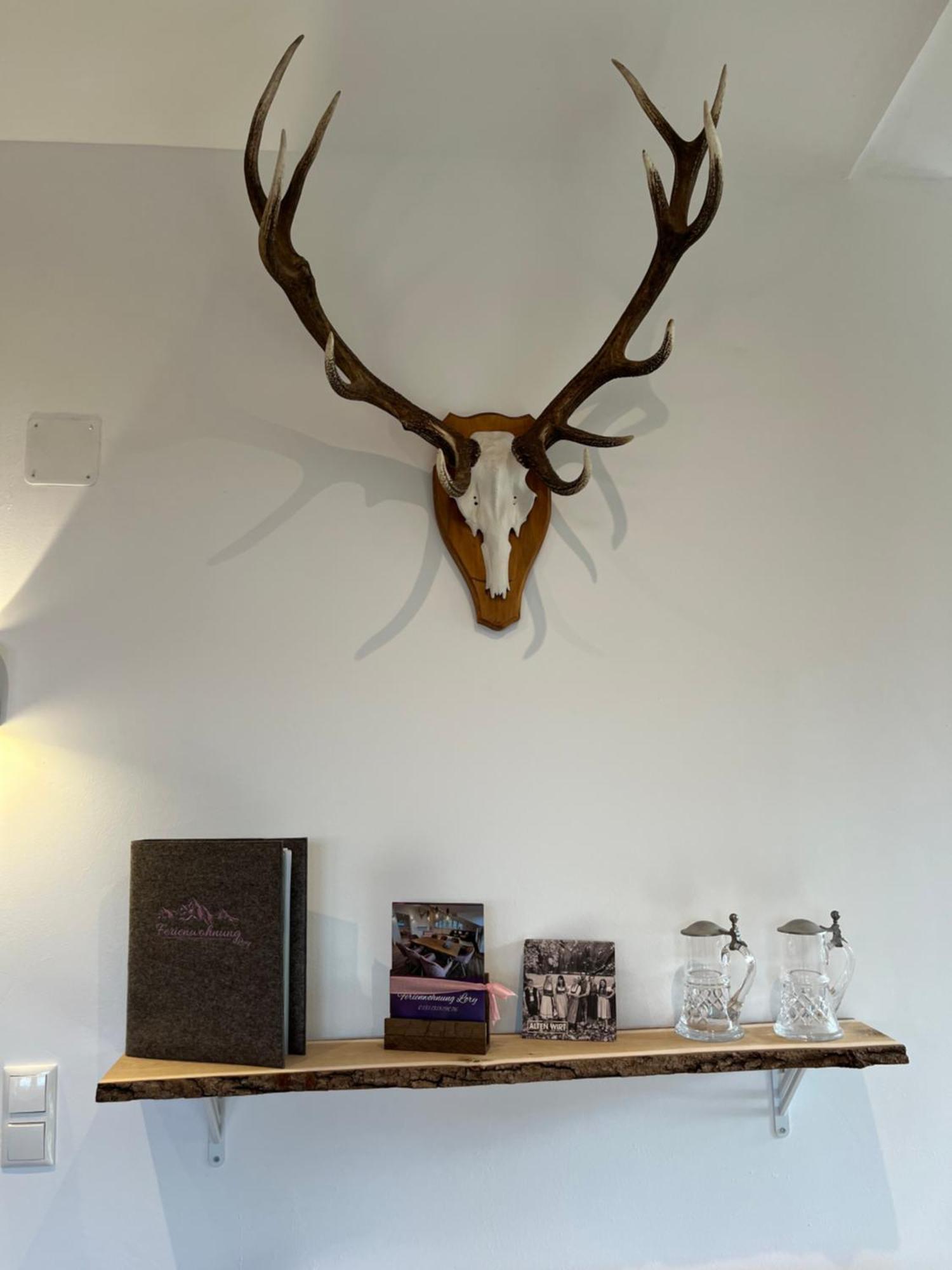 23 Neu Erbaute Ferienwohnung Mit Schloss- Und Panoramablick Halblech Extérieur photo
